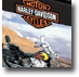 KNG, Harley Davidson licensee